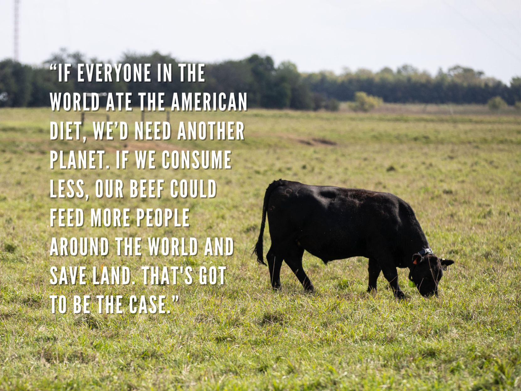 Beef quotes